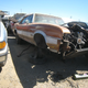 Image for article titled Oldsmobile Vista Cruiser Gets Last View Of California Sky Through Roof Windows